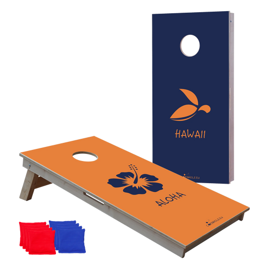 cornhole 2 planches hawaii et haloha, vue de face