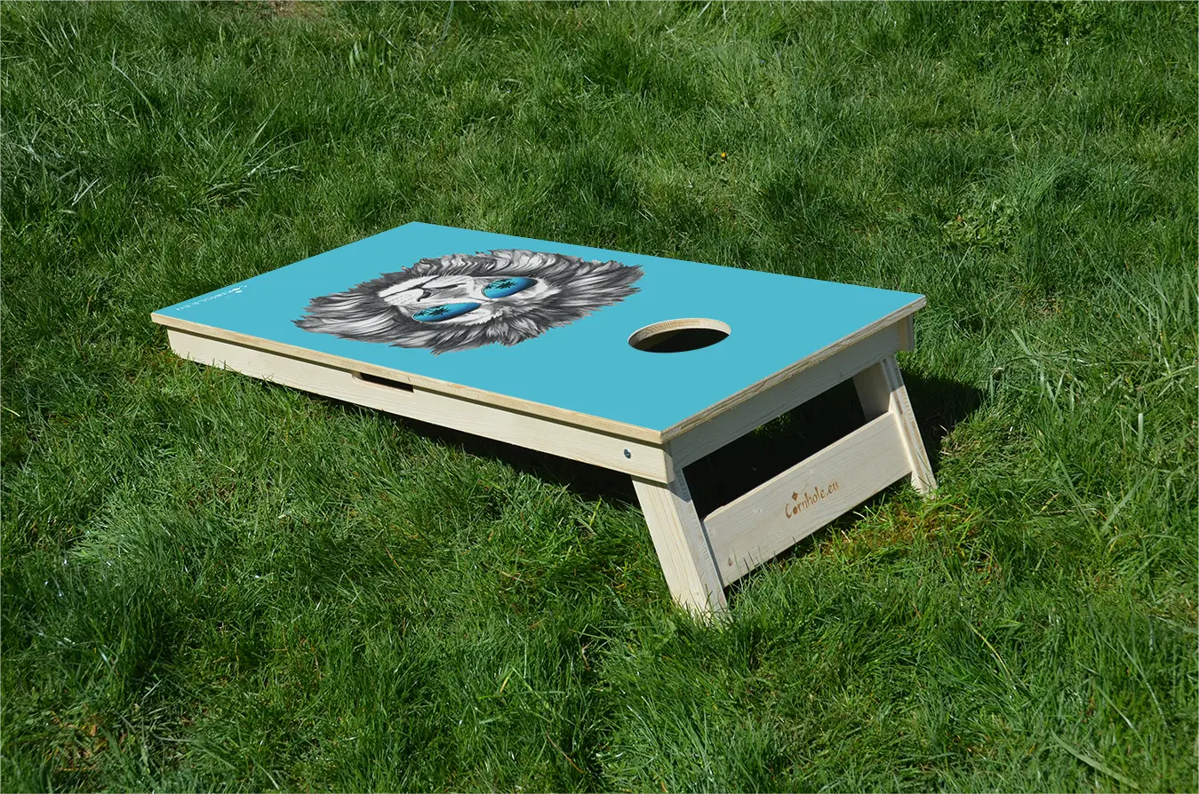 cornhole lion plutôt cool et ses lunettes de soleil, sur le gazon, vue de derrière
